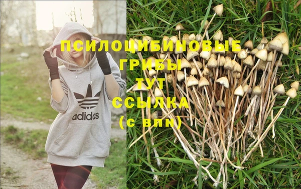 герыч Белокуриха